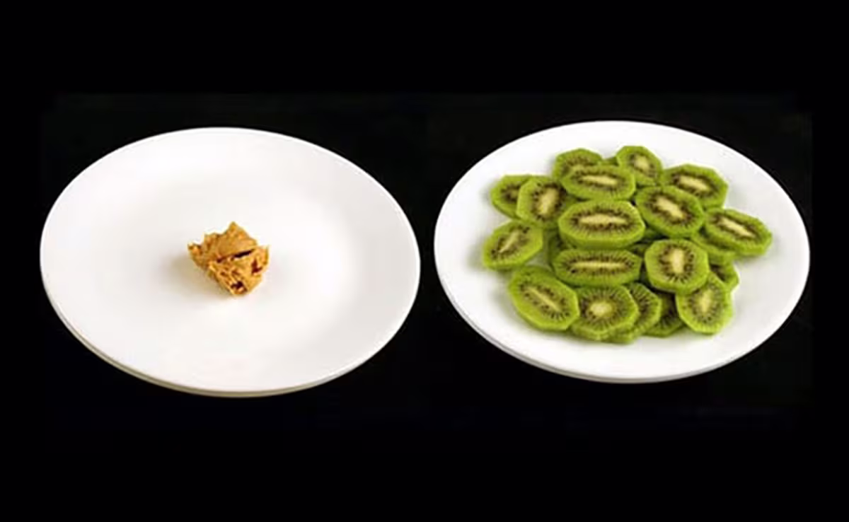 Can You Lose Weight By Exercise Alone? 2 QNET