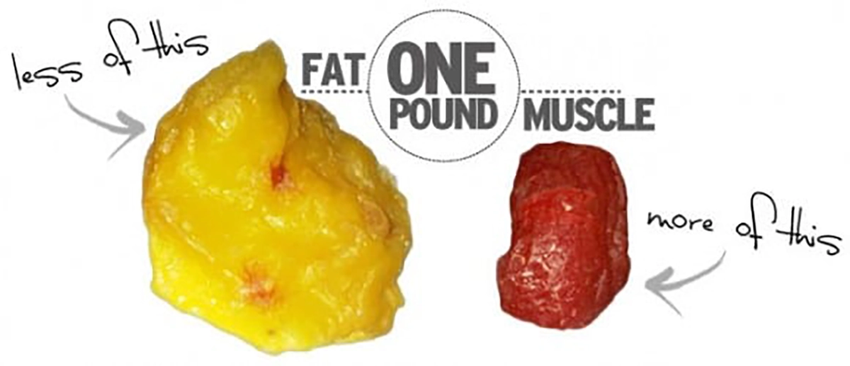 Can You Lose Weight By Exercise Alone? 3 QNET
