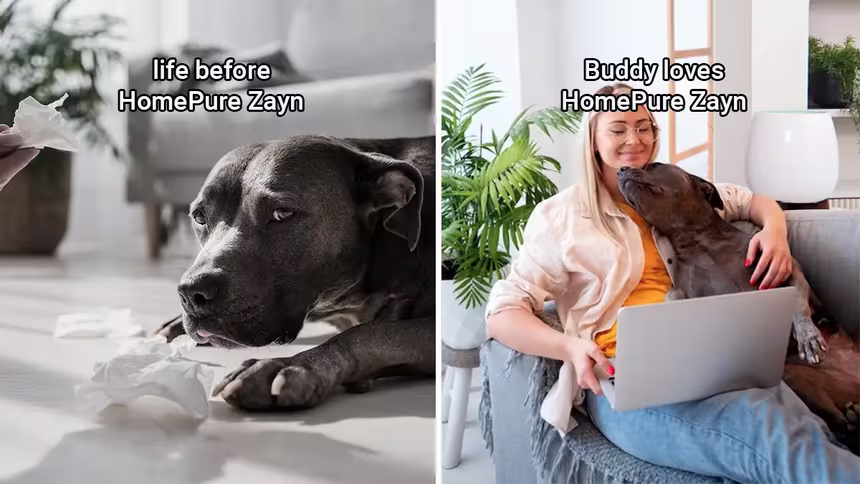 Life before homepure zayn and buddy loves homepure zayn dog with owner photo credit: freepik