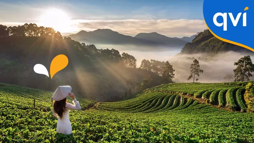 Travel Right: Tips For Making Your Next Holiday An Eco-Friendly One 3 qvi image of a travel holiday of a women in a tea field