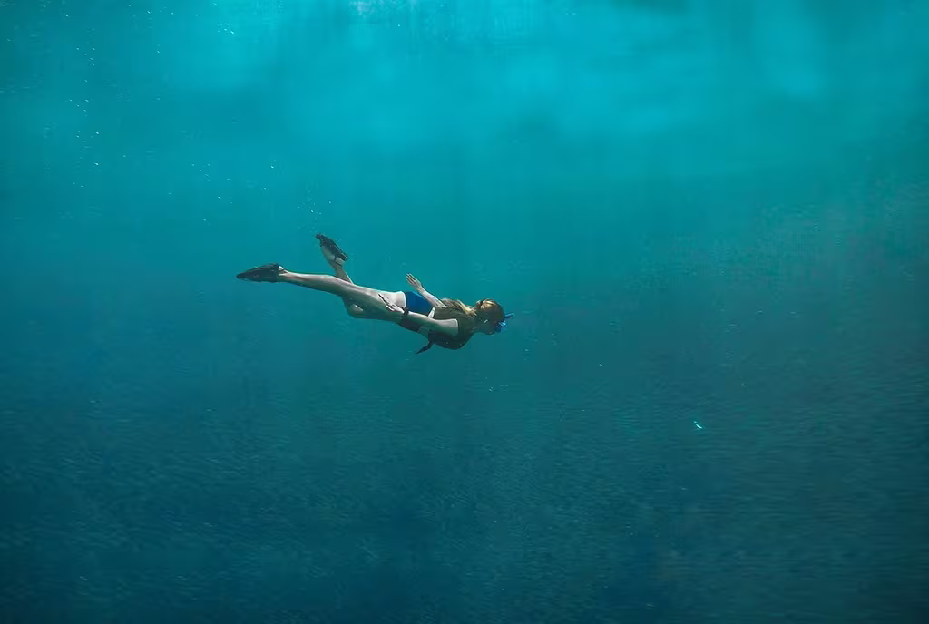 Taking A Deep Dive Into Business 5 wavebreaker